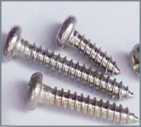 Stainless Steel 310L Screws