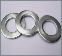 Stainless Steel 310 Washers